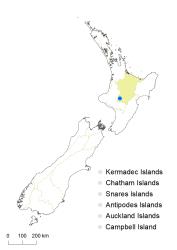 Cardamine panatohea distribution map based on databased records at AK, CHR & WELT.
 Image: K.Boardman © Landcare Research 2020 CC BY 4.0